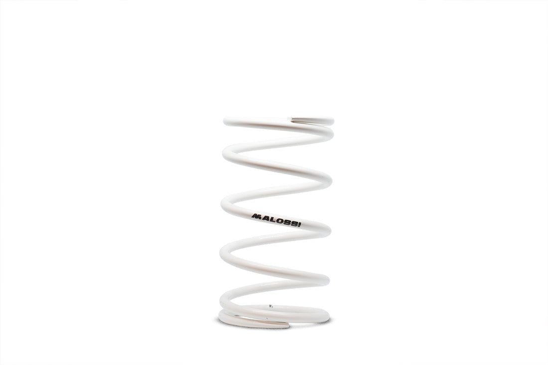 Malossi White Variator Spring 2912772.W0