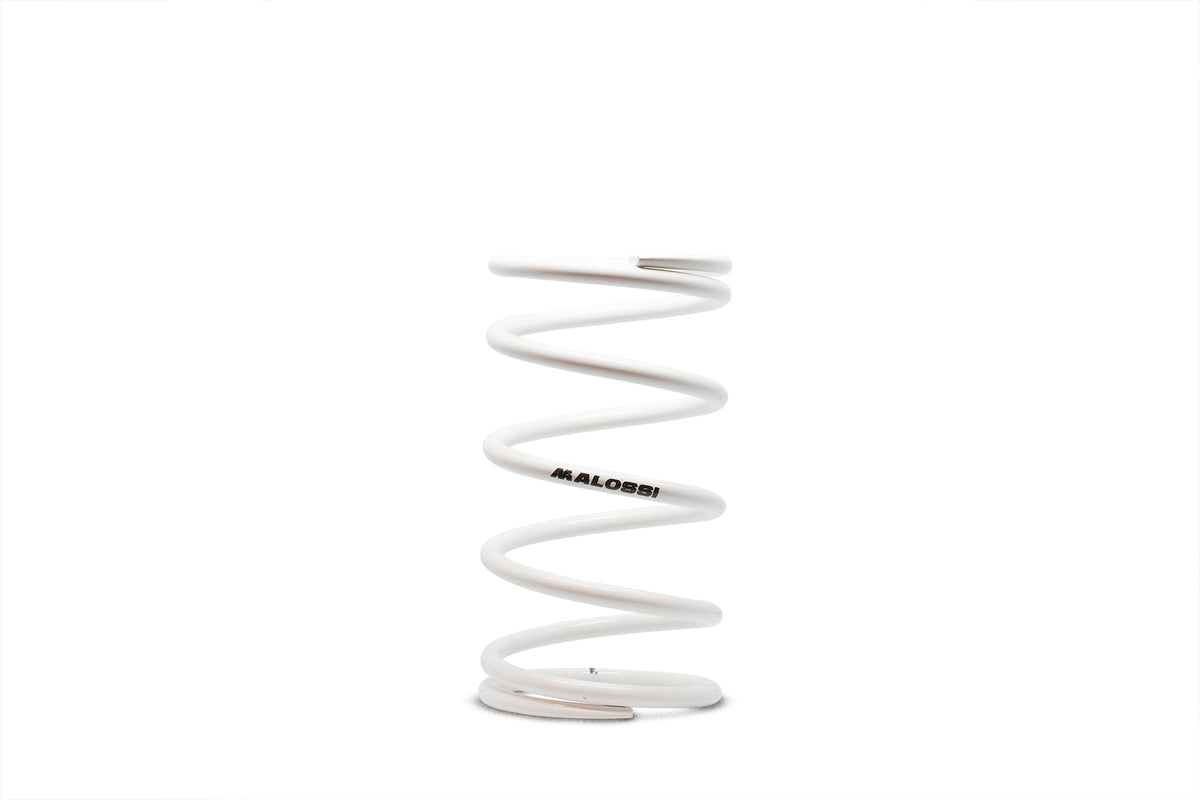 Malossi White Variator Spring 2912772.W0