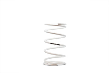 Malossi White Variator Spring 2912772.W0
