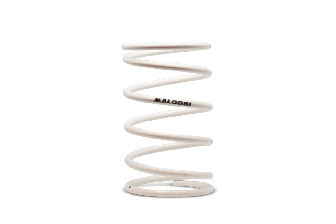 Malossi White Variator Spring 2913003.W0
