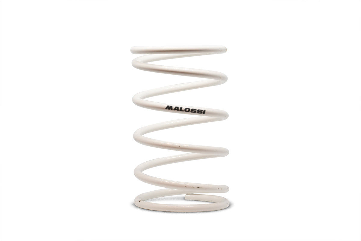Malossi White Variator Spring 2913003.W0