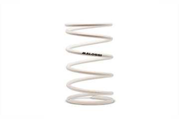 Malossi White Variator Spring 2913003.W0