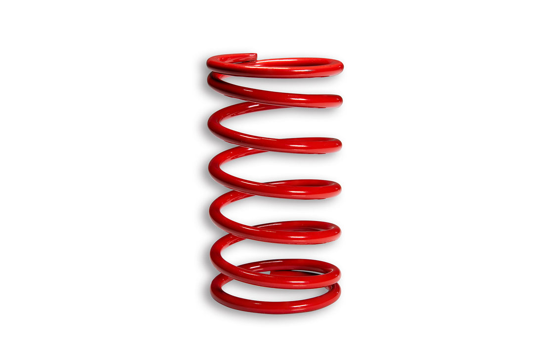 Malossi Red Variator Spring 2914023.R0