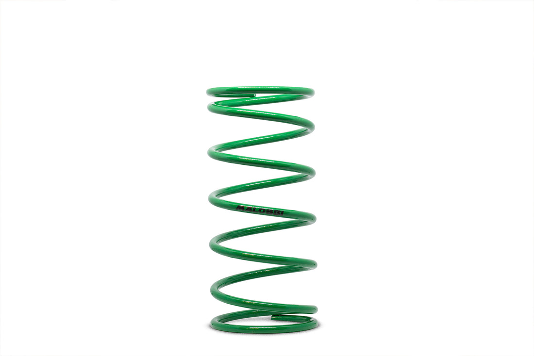 Malossi Green Variator Spring 2914401.G0