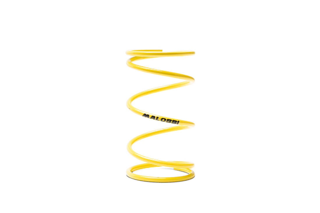 Malossi Yellow Variator Spring 2915553.Y0