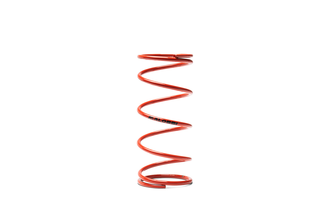 Malossi Red Variator Spring 2916498.R0