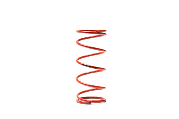 Malossi Red Variator Spring 2916498.R0