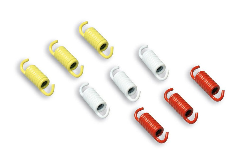 Racing Clutch Spring Set