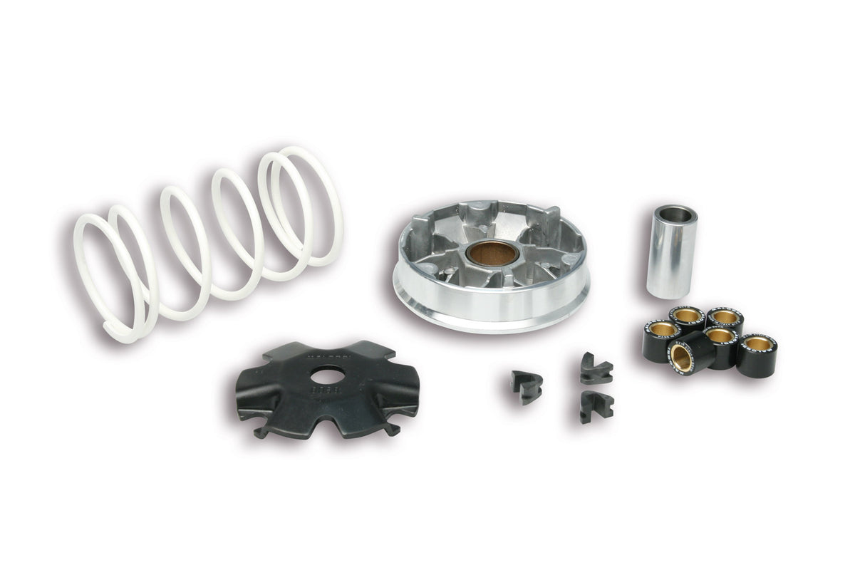 Malossi Multivar Variator (5113139)
