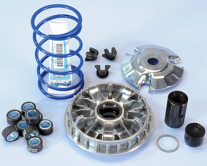 Polini Hi-Speed 9-Roller Variator — 241.665
