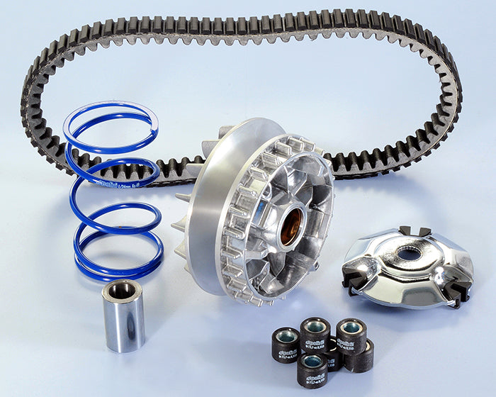 Polini Evolution Variator — 241.719