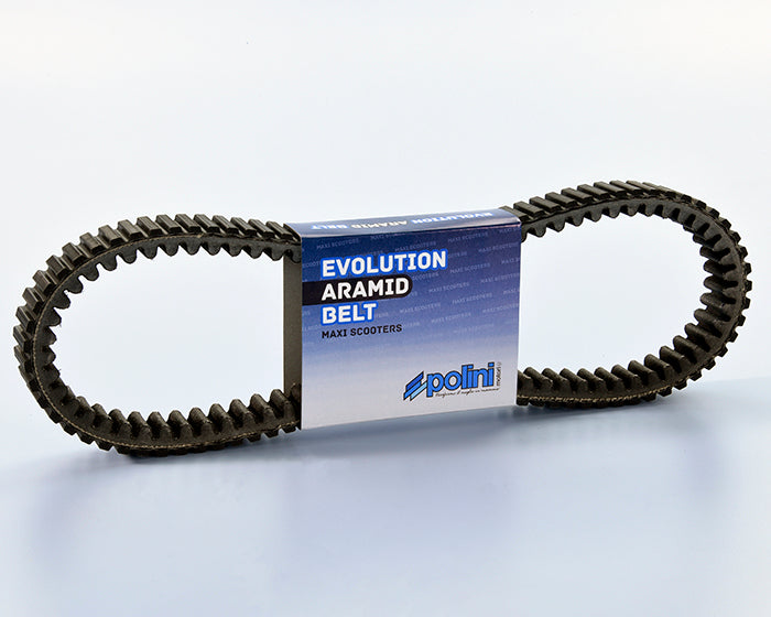 Polini CVT Drive Belt — 248.069