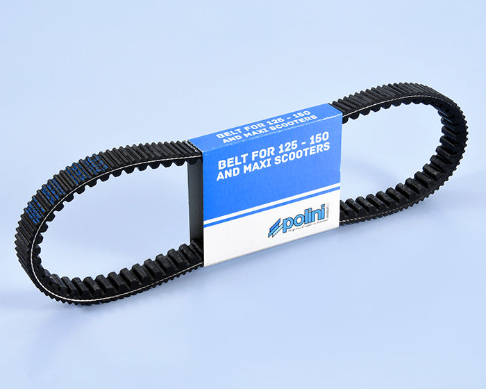 Polini CVT Drive Belt — 248.131